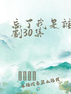 忘了我是谁电视剧30集