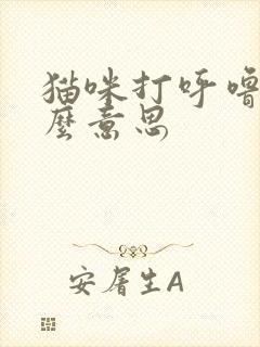猫咪打呼噜是什么意思