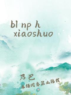 bl np h xiaoshuo