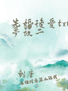 先婚后爱txt梦筱二