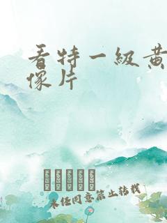看特一级黄色录像片