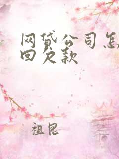 网贷公司怎么追回欠款