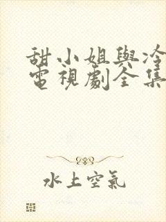 甜小姐与冷先生电视剧全集