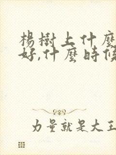 杨树上什么肥料好,什么时候施肥