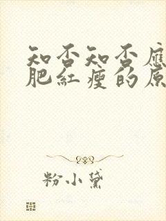 知否知否应是绿肥红瘦的原著叫什么