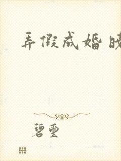 弄假成婚 晓月