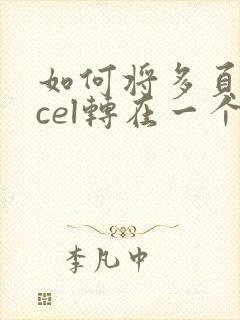 如何将多页excel转在一个pdf文件