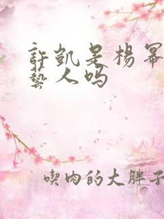 许凯是杨幂旗下艺人吗