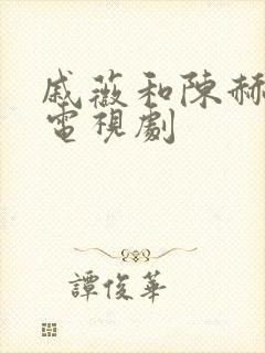 戚薇和陈赫演的电视剧