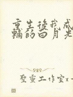 重生后我成了首辅的白月光