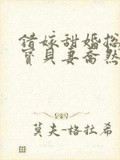 错嫁甜婚总裁的宝贝妻乔然,左辰夜的小说
