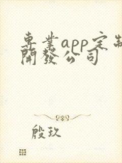 专业app定制开发公司