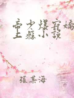 帝少爆宠娇妻霸上瘾小说