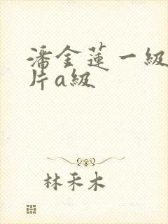 潘金莲一级风流片a级