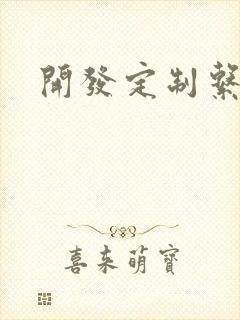 开发定制系统