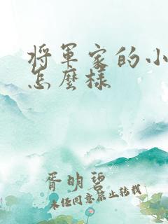 将军家的小娘子怎么样