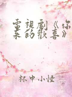 电视剧《你是迟来的欢喜》免费
