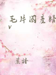 毛片国产精品av