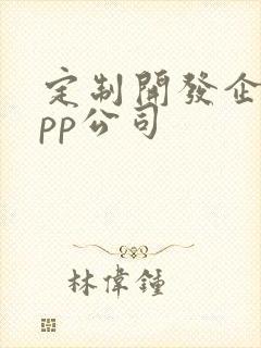 定制开发企业app公司