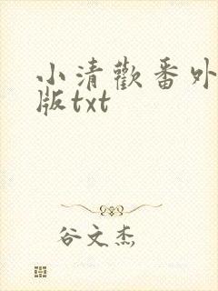 小清欢番外完整版txt