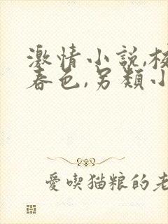 激情小说,校园春色,另类小说