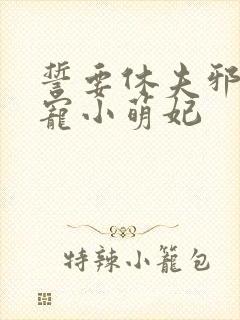 誓要休夫邪王私宠小萌妃