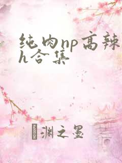 纯肉np高辣文h合集