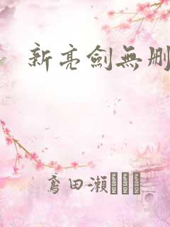 新亮剑无删减版