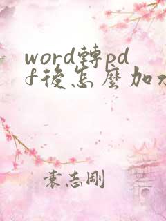 word转pdf后怎么加水印