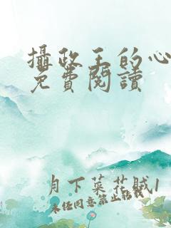 摄政王的心尖宠免费阅读
