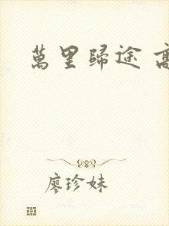 万里归途 高清