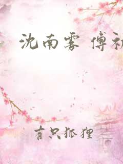 沈南雾 傅初安