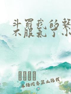 斗罗我的系统又不服气了小说