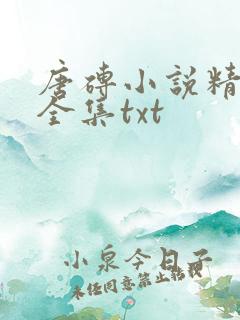 唐砖小说精校版全集txt