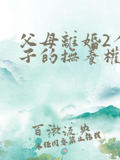 父母离婚2个孩子的抚养权怎么判定
