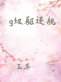 g级驱逐舰