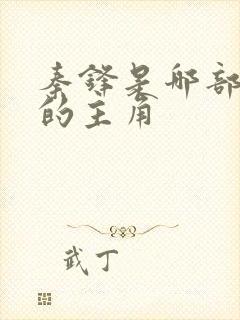 秦锋是哪部小说的主角