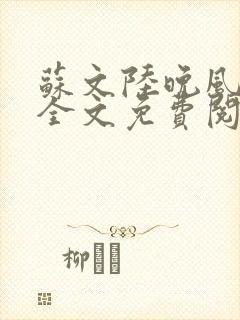 苏文陆晚风小说全文免费阅读最新