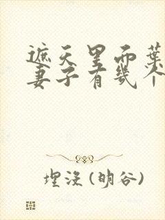 遮天里面叶凡的妻子有几个