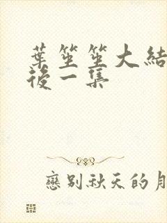 叶笙笙大结局最后一集
