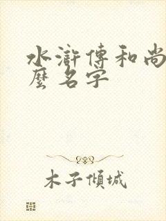 水浒传和尚叫什么名字