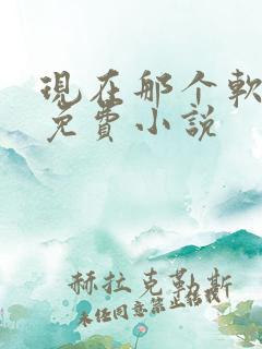 现在那个软件是免费小说