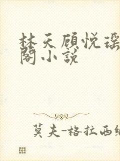林天顾悦瑶笔趣阁小说