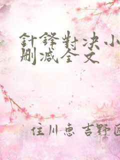 针锋对决小说未删减全文