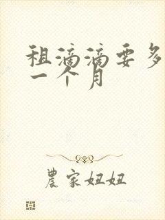 租滴滴要多少钱一个月