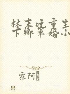 林末晚重生七零下乡军婚小说