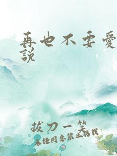 再也不要爱你小说