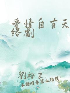 爱情自有天意网络剧