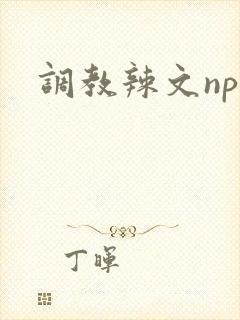 调教辣文np