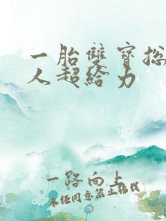 一胎双宝总裁大人超给力